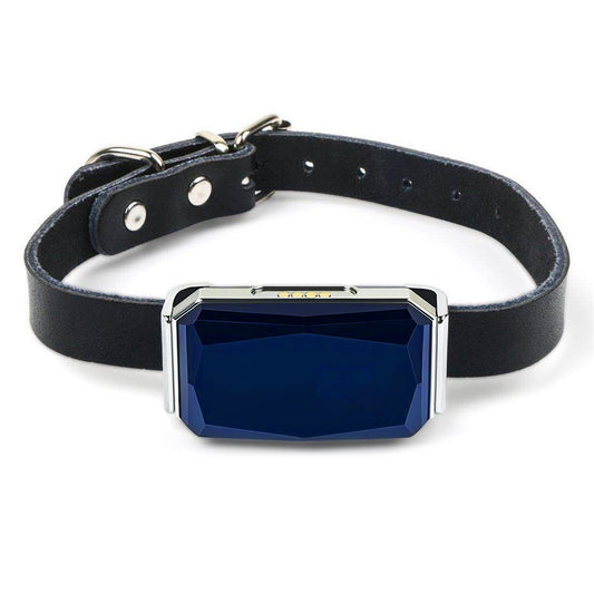 Never lose a moment of sleep worrying about your dog again. The Rocco & Co. GPS Tracker is your dog's new best friend—and yours. Lightweight, waterproof, and ridiculously easy to use, it provides real-time GPS tracking straight to your phone. Set a safe z