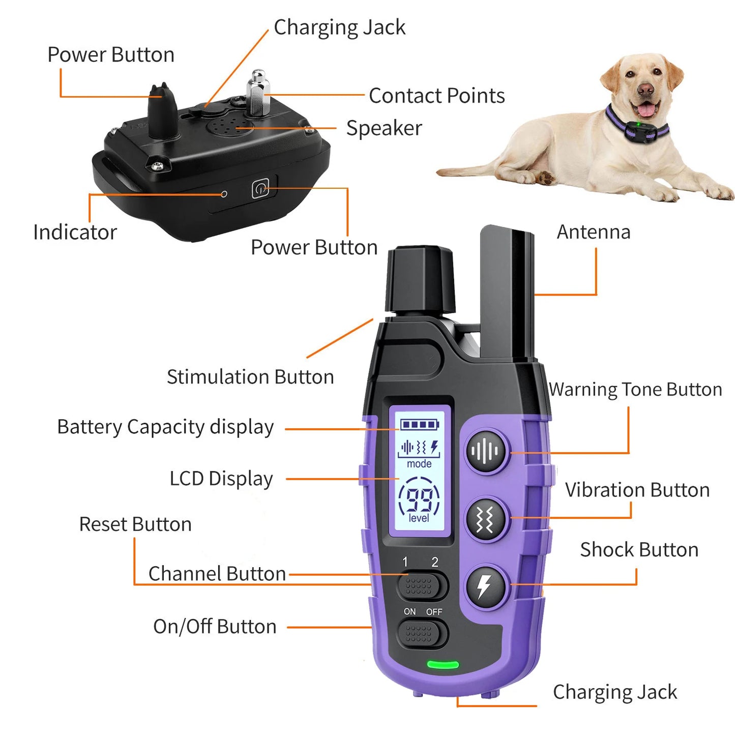 Every dog is an explorer at heart, but you don't have to worry about them wandering too far. The Rocco & Co. GPS Tracker gives you the ultimate peace of mind. Simply attach the lightweight, waterproof device to your dog's collar and track their location i