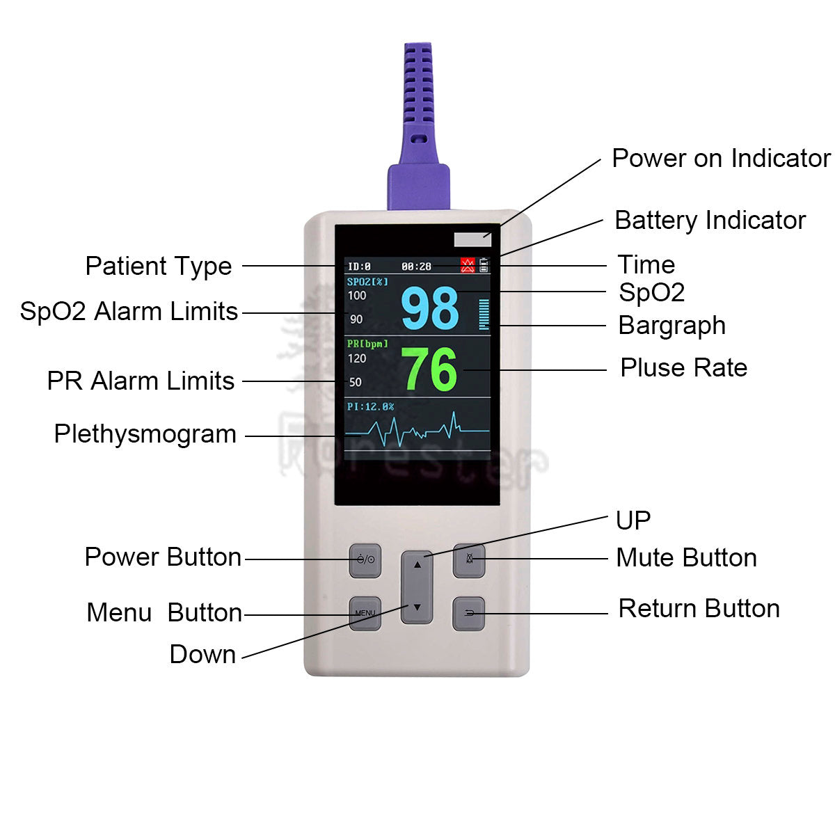 Portable Handheld Pulse Oximeter rechargeable Monitor for Heart Rate Oxygen Saturation with Veterinary SPO2 PR PI with Memory
