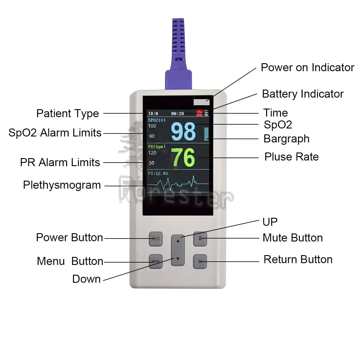 Portable Handheld Pulse Oximeter rechargeable Monitor for Heart Rate Oxygen Saturation with Veterinary SPO2 PR PI with Memory