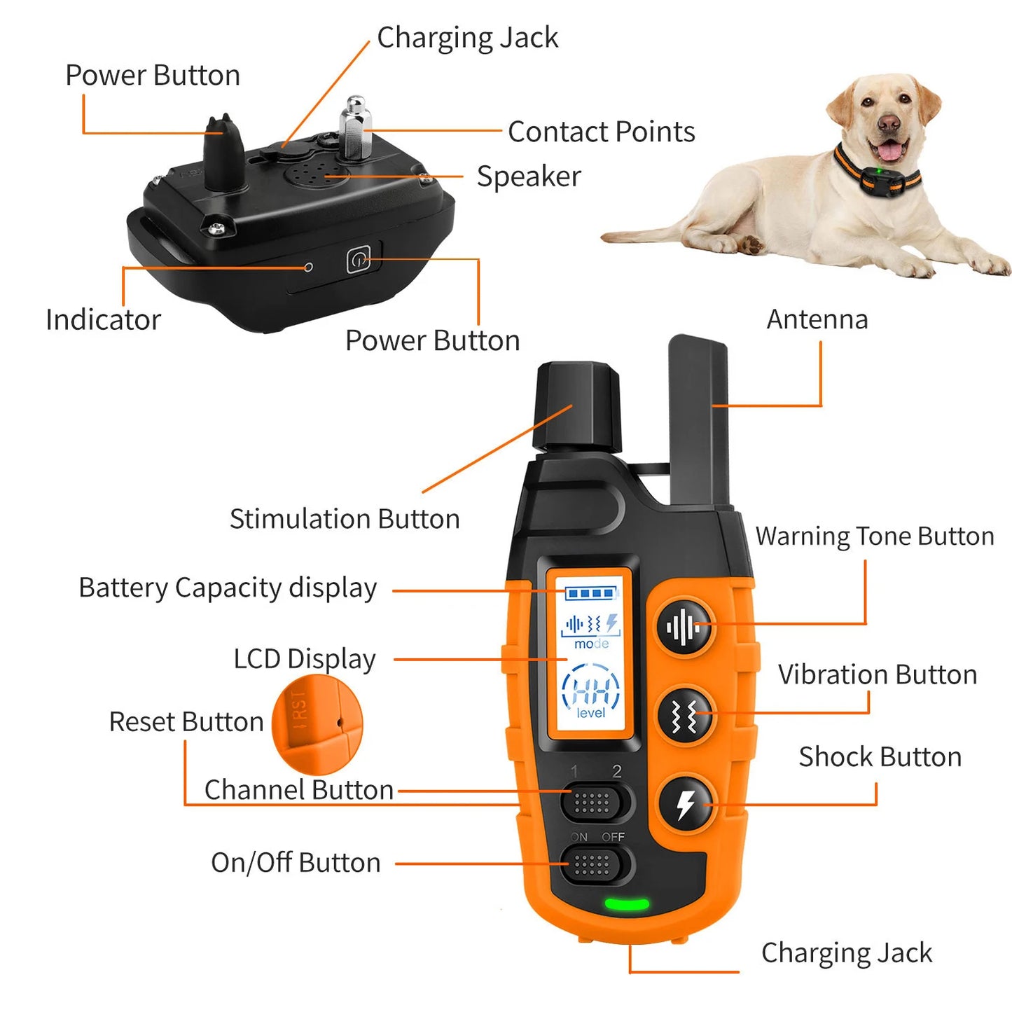 Keep your dog safe with cutting-edge technology designed for their active lifestyle. The Rocco & Co. GPS Tracker is a durable, long-lasting device that offers real-time location updates via our easy-to-use mobile app. Our advanced tracking technology prov
