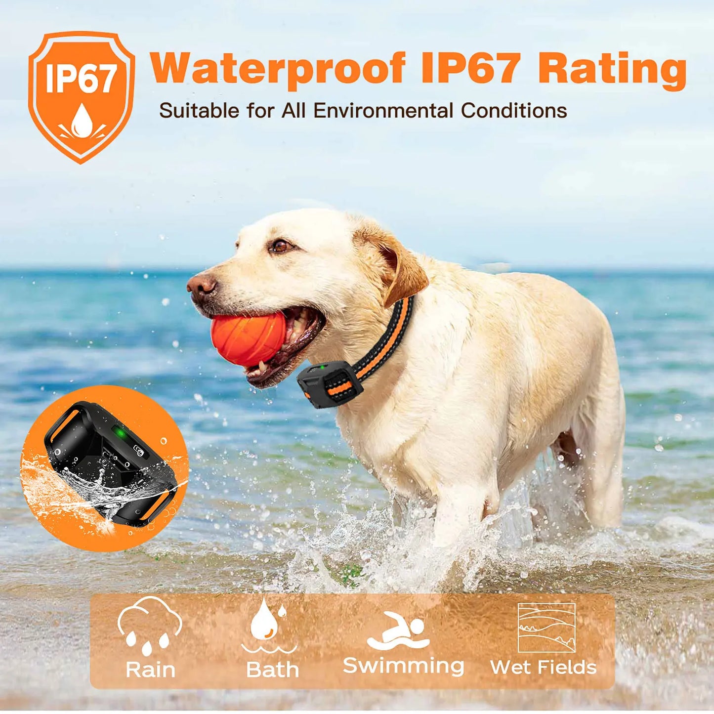 Keep your dog safe with cutting-edge technology designed for their active lifestyle. The Rocco & Co. GPS Tracker is a durable, long-lasting device that offers real-time location updates via our easy-to-use mobile app. Our advanced tracking technology prov