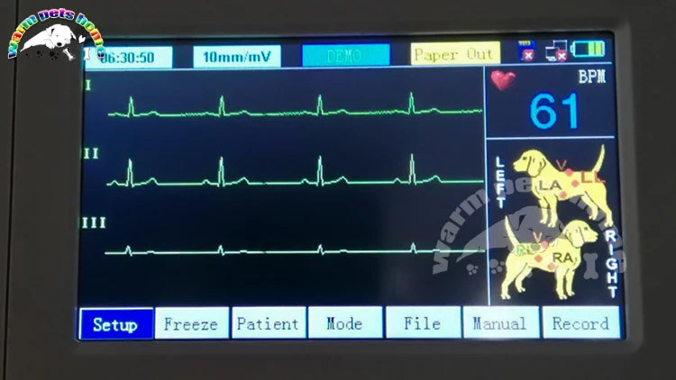 Veterinary ECG Machine Monitor 3-Channel Electrocardiograph For Dog Cat Animals Vet Equipment